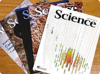 製本リストと照合しながら検品し、欠本や落丁がないかを確認します。